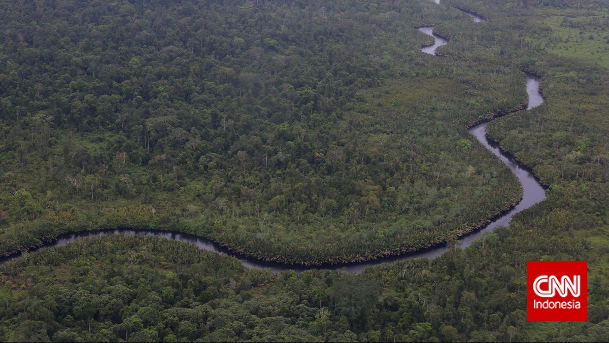 4 Titik Prioritas Penanganan Karhutla di Taman Nasional Tanjung Puting 1 4c3f8fcc585d1928b6021dd93a8152a981d7b6a46f8bdef69d5b2c67def1caaa