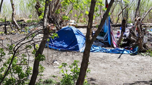 Chronic homelessness in Winnipeg greatly overestimated due to faulty data, memo says 1 58867c4da37d8b39700e7e6f4406ab84548489336b1e7a320a5bfaf99ef15f03