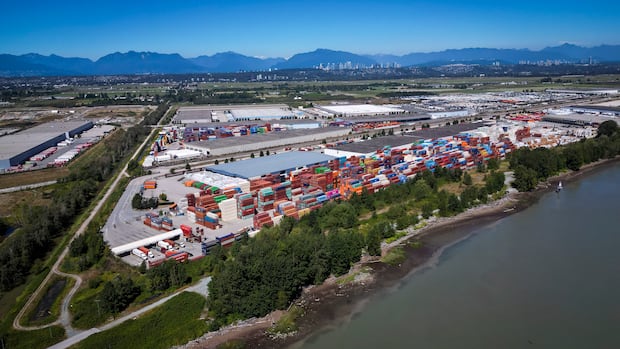 Landmark Cowichan Nation appeal sparks warnings of 'chaotic situation' 1 592be9a665332711a8464507a2180fd3d60f0b7026046158bd6552f804fd89e1
