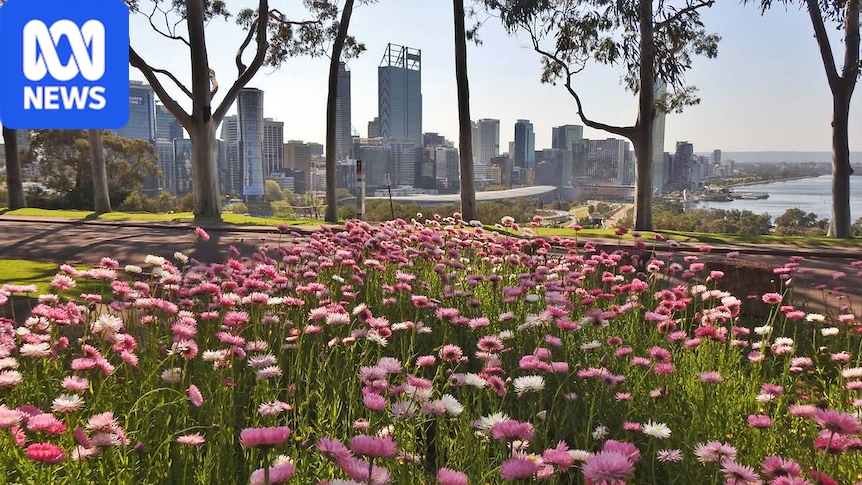 WA's varied climate — rainfall to heat — captured in the first month of Spring 1 598668f8714db8bab02e253bec6e55307a7e6fd478507cfc8da875e82227a70a
