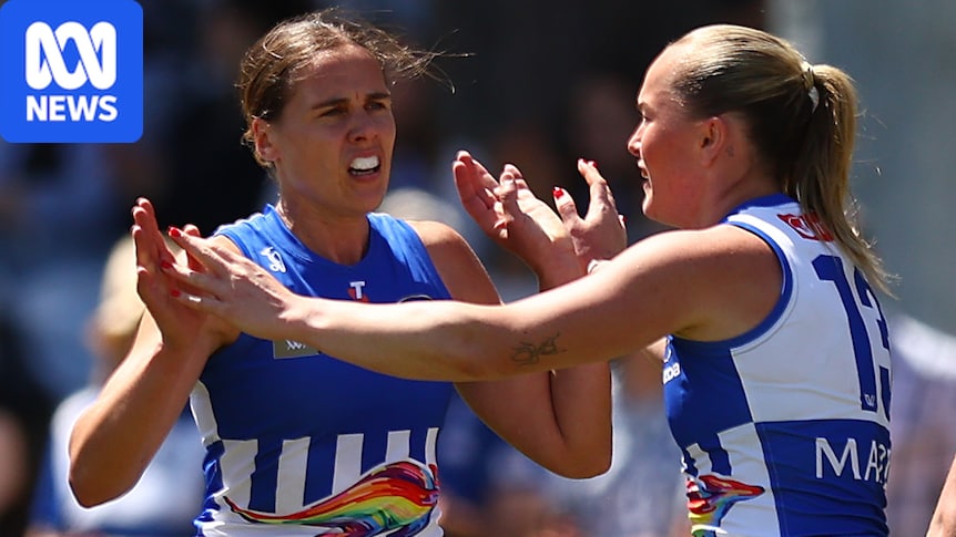 Roos get past Dockers as Blues and Hawks taste victory 1 59c76a4ca22c99aa41e25a5e4e1dd70cf53c1161e7ba5f80f5bfbcc184dd6766