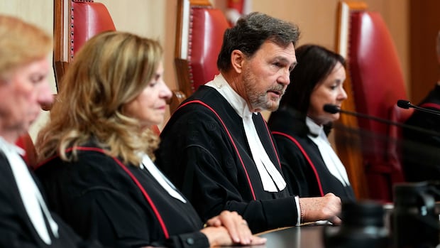 Supreme Court's top judge starts judicial year by stressing need to protect democratic institutions 1 5bb1825e66f62cc6755d7f9063b96071a52680bcb441f7f287d071c08622af7d