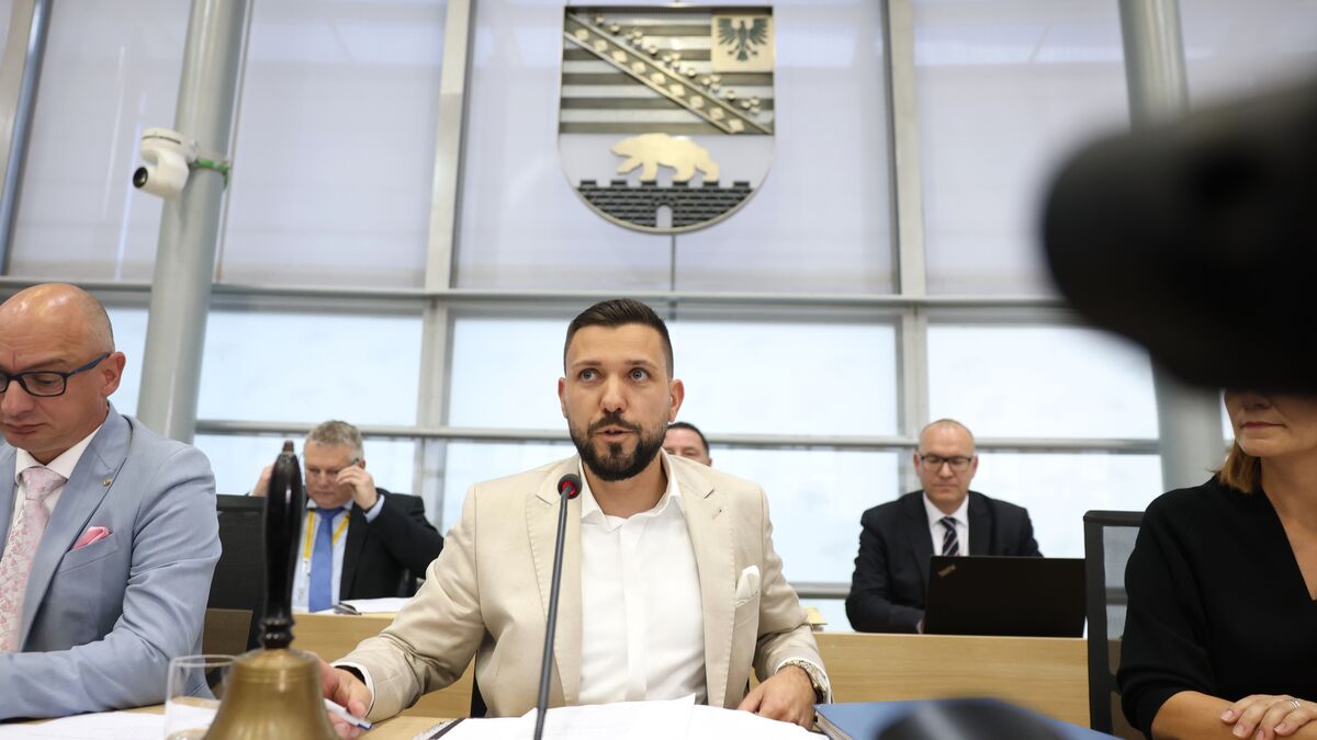 AfD’s Tobias Rausch Becomes First Far-Right State Parliament President in Germany Since World War II 1 5e081834cc6e41cb897d0d3db8068869f9bb70311cceefd447ffc5c09e1178be