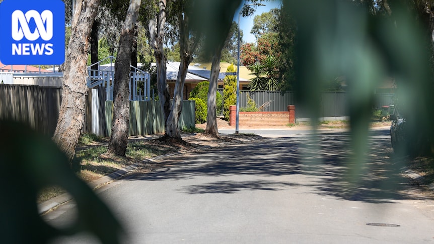Man accused of Paralowie child abduction granted home detention bail 1 6393bf1f7b6ad42d2d585763bff49bc83dc7fdd775b5cfaf7cf2df8206eb6cd5