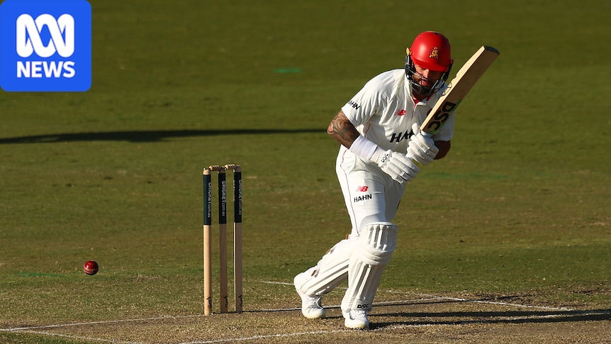Dropped Aussie opener out of Sheffield Shield match with concussion 1 6a1d014efc10063f0d36f20491b251ba2516942054f6984db30fce9e10dc6022