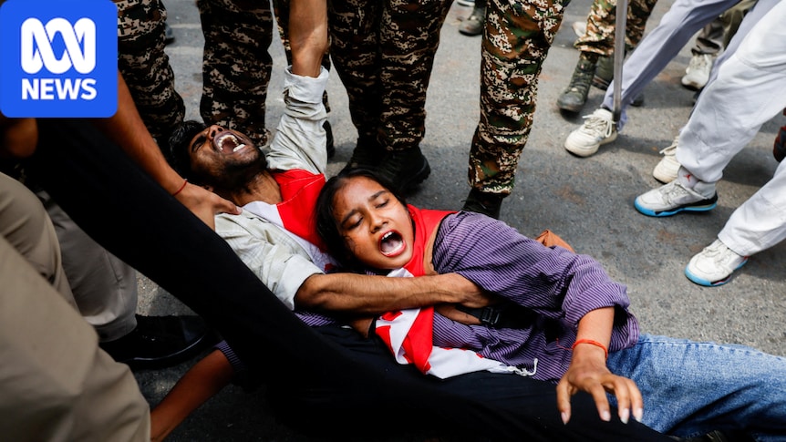India releases 'cockroach' leaders as movement calls for more protests 1 6e4df7c26794310a4e2a59b30f34ee72c1008480e8c69ba29a6b0954f4b1efc5