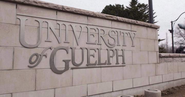 Guelph homecoming drew up to 15,000 people, generated $91K in policing costs 1 74258f4b58fdd078f2781ace67966ffde782444b471d714b19bbfb1321a970a2