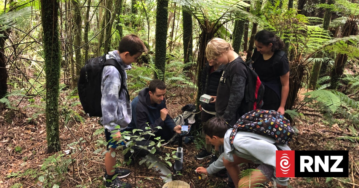 Taranaki conservation project convinced AI can be force for good 1 807e63ae59909e6b4ac941ce3570ab07443802837119d47389d4a4cb1c4e00db