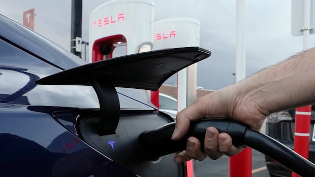 Tesla's exclusion from Manitoba EV program 'incredibly unfair,' politically motivated, court hears 1 80ea0d871a90a3e3928df5eee47fc91c3198f50299873772e0a02560468e0a3f