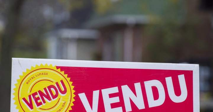 Competition Bureau says Quebec real estate board violated abuse of dominance rules 1 8e48ddef75057d23c7926e0701d20c0d4ae90482d47ff6b5b13da17cc0cbf253