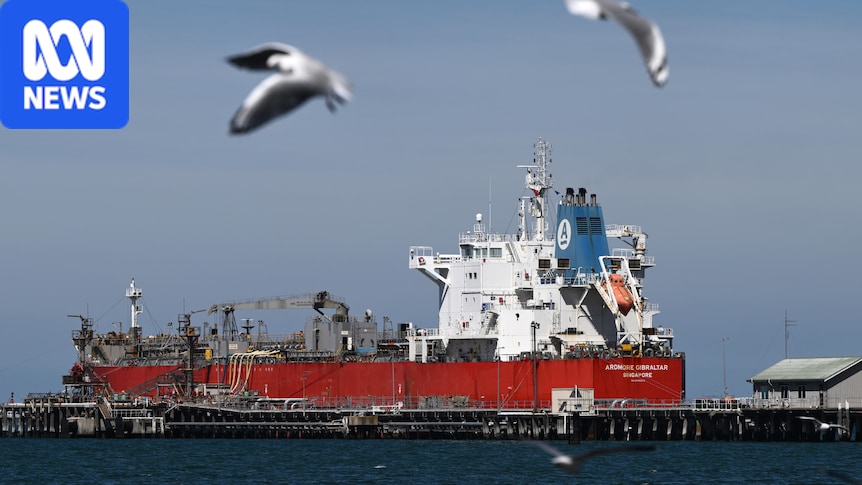 While Australia scrambled for fuel, millions of litres were being exported offshore 1 8ebdbefc11c1ac8c90adb2bab23771290c40dbad92afef65f0a8a8829cebbd85