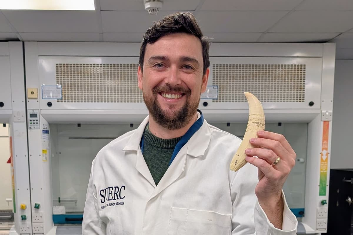 Radioactive traces found in teeth of stranded whales used to explore their lives 1 90dfe6e7b3b4eeb61a218b89dc52188db4ee051453c8d3cd98b68e8f8f8cbe8c
