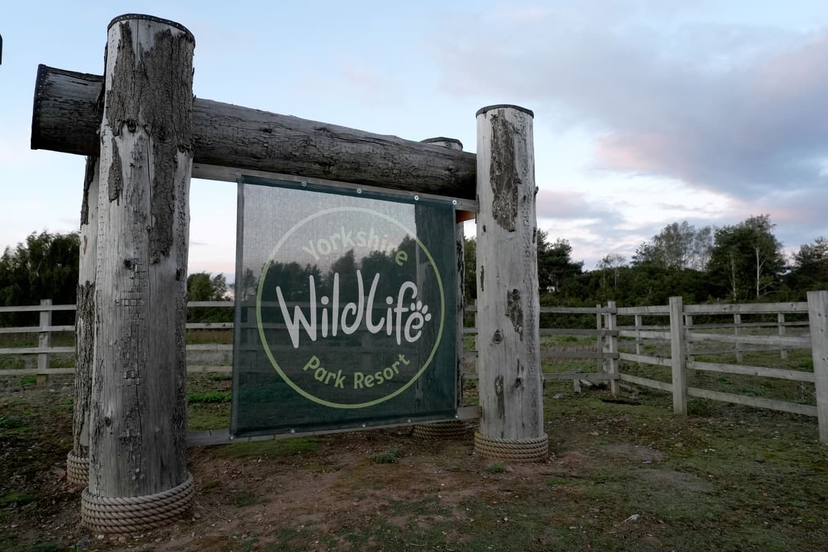 Wildlife park remains closed after man dies in tiger enclosure 1 99f0cc951855dd92d14088bc7de22add34c32774a98faedae154ceadcb7177f8