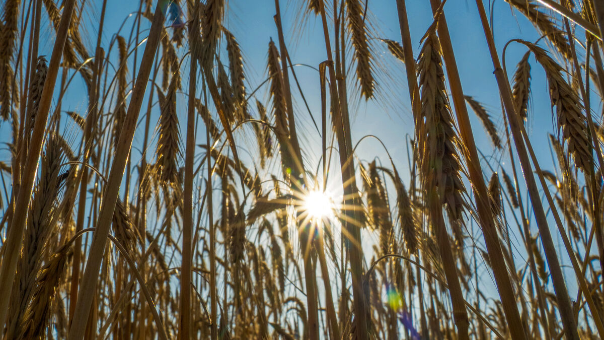 a6b14fda577519f3d3e76c41cda55f33527cb203b776b753acaf072f21027f3b