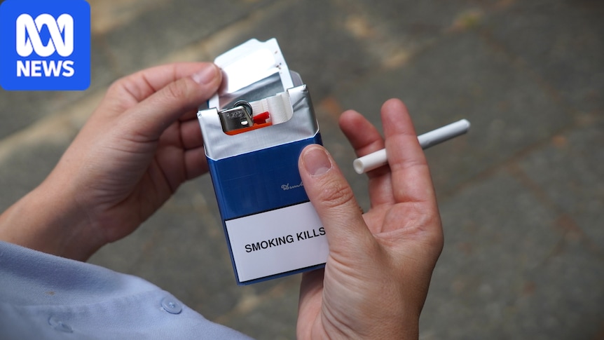 Landlords could be jailed over illicit tobacco in SA crackdown 1 aa17d1e120f6a0c0c839799df0688464ccc0d387bc34962ba7251d2f1aaa458f