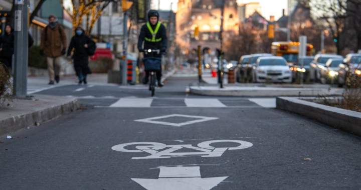 Bike lane advocates to challenge Ford government’s removal plans at Supreme Court 1 b54bde1290f0e710d9c0e608df39a580690be2998d3cab08a6b0d1b00dc96474