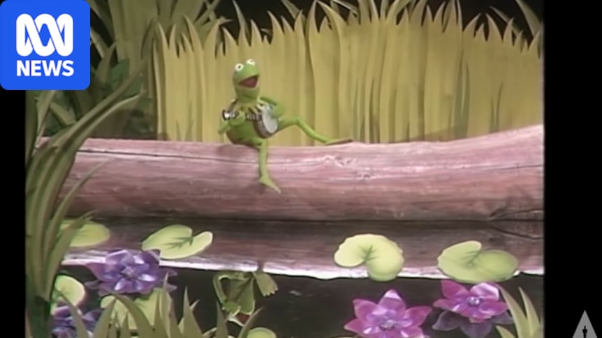 ABC 50/50 quiz: Testing your knowledge of Kermit the Frog, Princess Diana and 90s TV principals 1 bba57c4dff5ee776c2c875a6efb6b581cba02fc657ecf7c42bd8a8bab0e813de