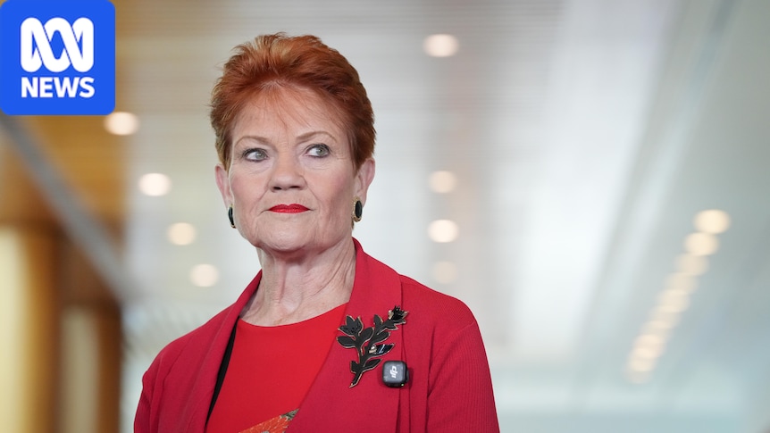 Hanson apologises for cartoon mocking Lambie's vaginal prolapse 1 bc976720bcc0558f5a92bffa1b530ea02d71d05525a1c095155aa9cd4959944e