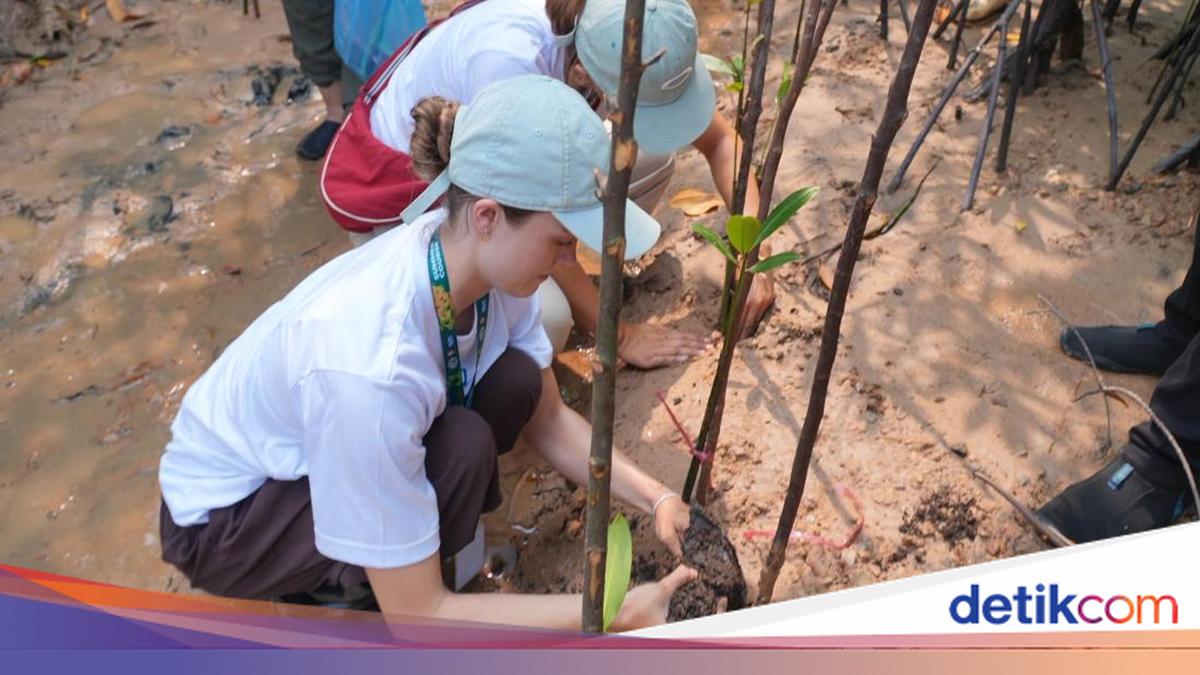 Kementrans Gandeng Undip-TUM Kembangkan Ekowisata Pesisir Batam 1 c129a661dc66a8f3c56a8967f9a02f9cdbd1df7c2647ebf23206ebffe9f536e2