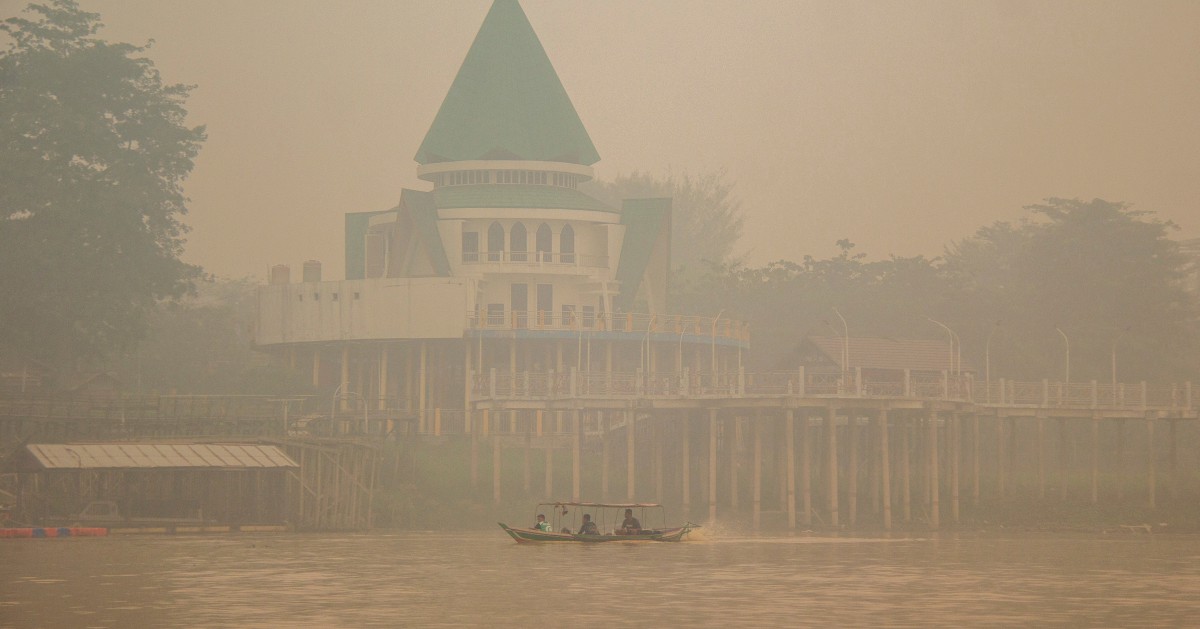 El Nino drought chokes palm oil shipments, leaves Indonesian farmers with rotting fruit 1 c1a042a5e4e163a364fd801a3f28f6c076b6dfd49734acfe6bb331c3ca3983b3