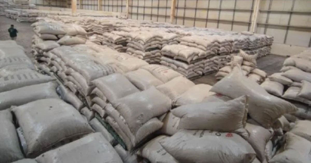 MCBA seizes 637 tonnes of cocoa beans worth RM11.9mil at Johor port 1 c6f74ae2d91bd5f256f7e12821540a7ca131235e683be798b379e68c2c69843f
