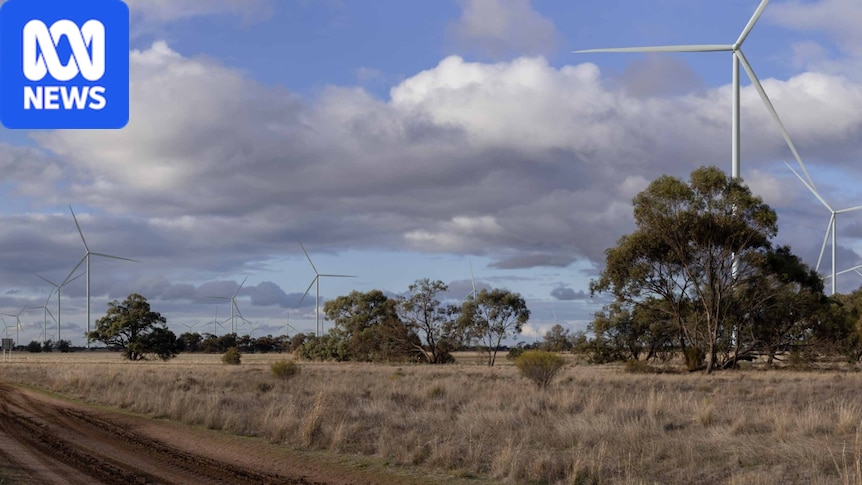 Victoria gives final state approval for biggest wind farm in southern hemisphere 1 cc4386ac4c706bff31b9519a697233653cb763c8e8d566b3344cb4c3c4184a8c