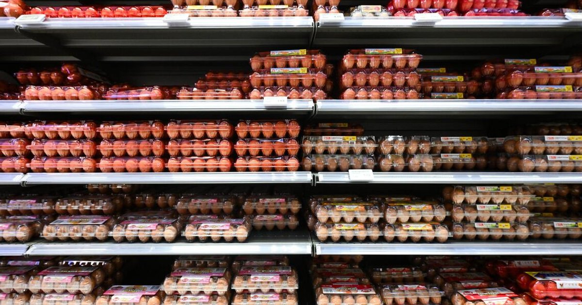SFA in contact with Thai authorities, engaging local importers amid Thai egg export cut 1 cf4665b9e0faf958ab07d4cd1bfe9d178385f2d5d47f7eec91eeeeb9905d9487