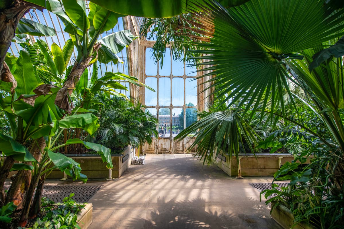 Kew Gardens launches £1million public fundraising plea to save historic Palm House 1 cfa90747f88fcca8e7e6e527aa7bf877857636ea6f0fd513a91d996e1110466b