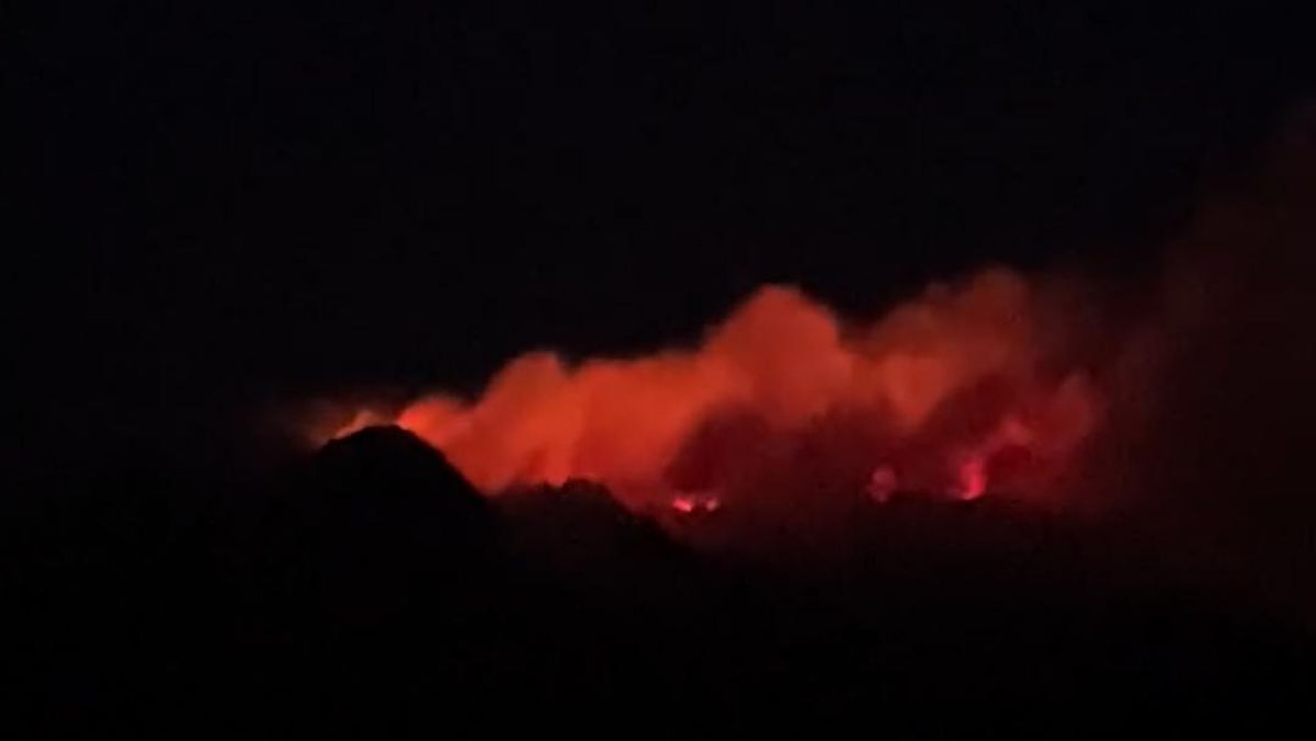 Penampakan Kebakaran Hutan Lereng Gunung Lawu 1 d0e50c9c212333a9be5d8ad5fb4126d031d45be609da14d61728177348521ee2