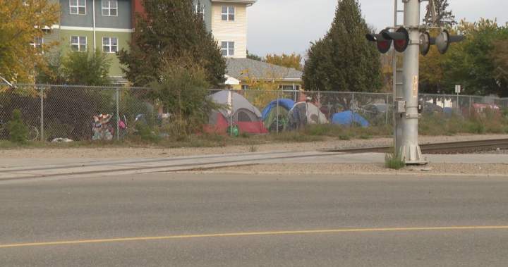 Encampment removal in Saskatoon ‘very sad,’ but necessary, advocate says 1 e93ed6a6118a8c502b6415918d5fb5fd938e6fe34a2bd701cdc28df8d8f43617