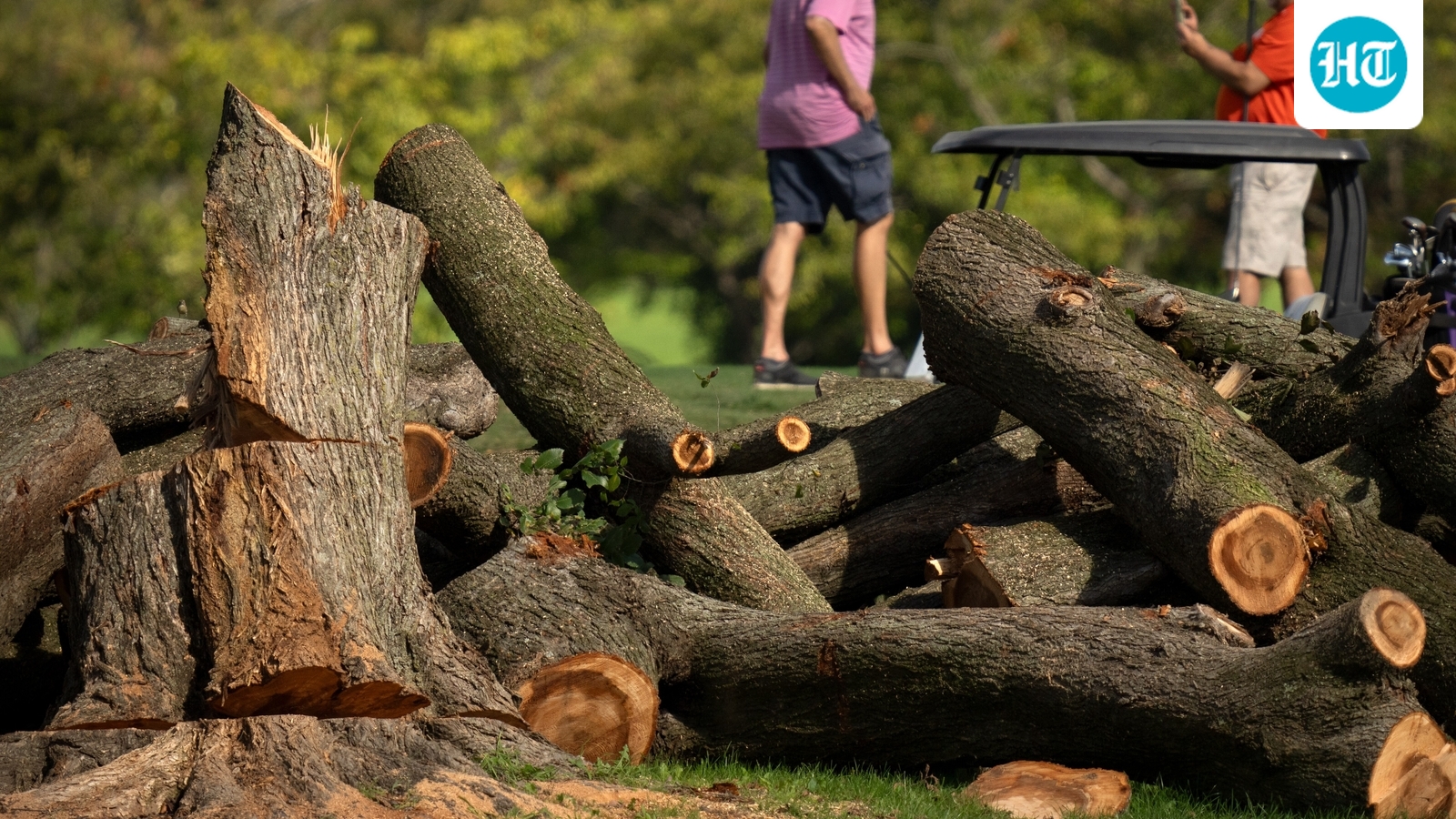 Who is Ana C Reyes? Biden-appointed judge blasts Trump administration over DC golf course tree removal 1 eb3777daab9b06bc42d458111c748dd75b3f7f92c137ea1f2ac67a899e3a81b7
