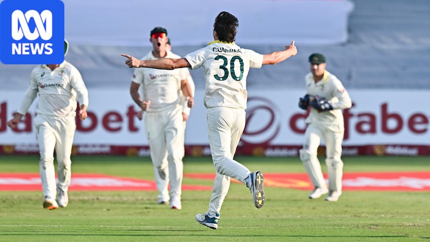 Refusing to yield momentum, ruthless Australia is perfectly set for victory 1 ed738779f56c1b0e0187405fa9a7ffadbef6bbddc00ea7c3e1d23852985a3949